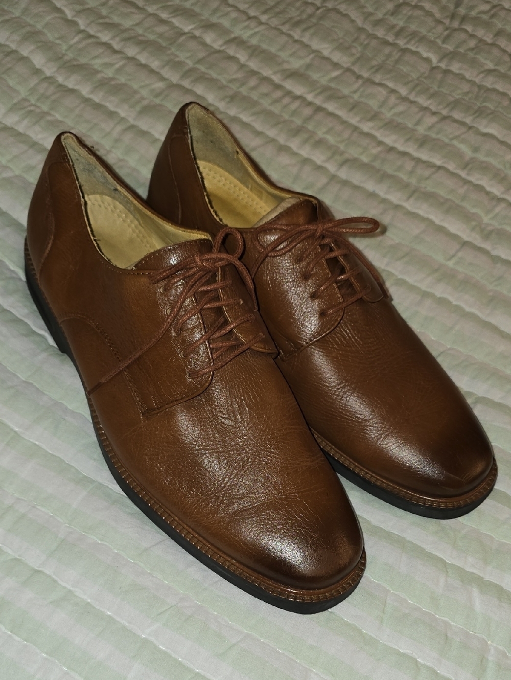 Belvedere Harvard Men's Brown Leather Derby Shoes – Classic Lace-Up Oxfords 10.5